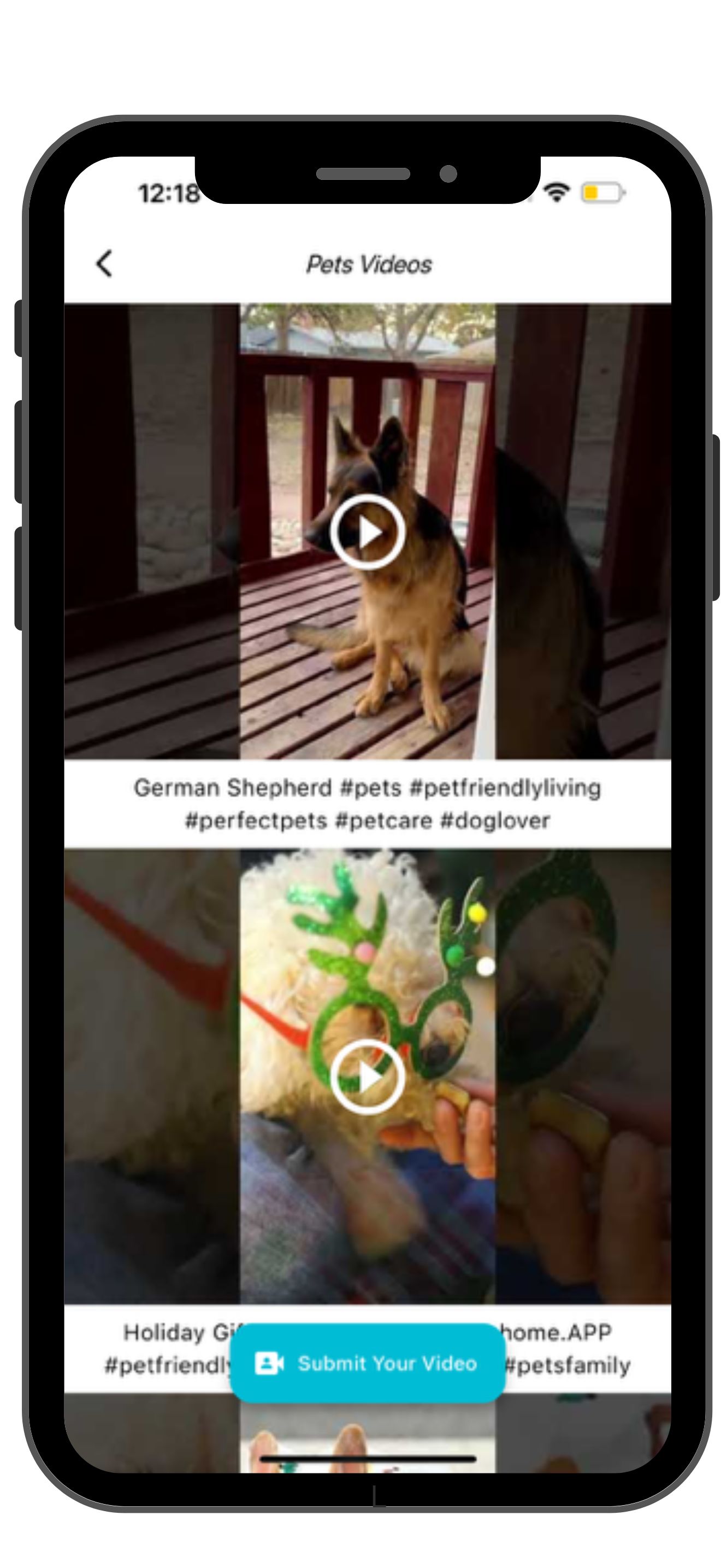 Sell puppies online with engaging pet videos