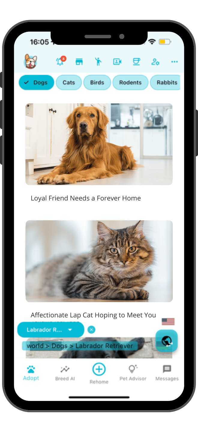 Sell pets online app screenshot - free dog selling platform