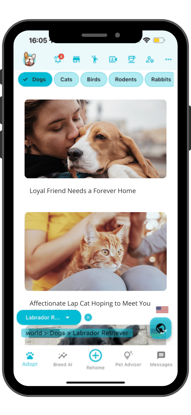Sell pets online app screenshot - free dog selling platform