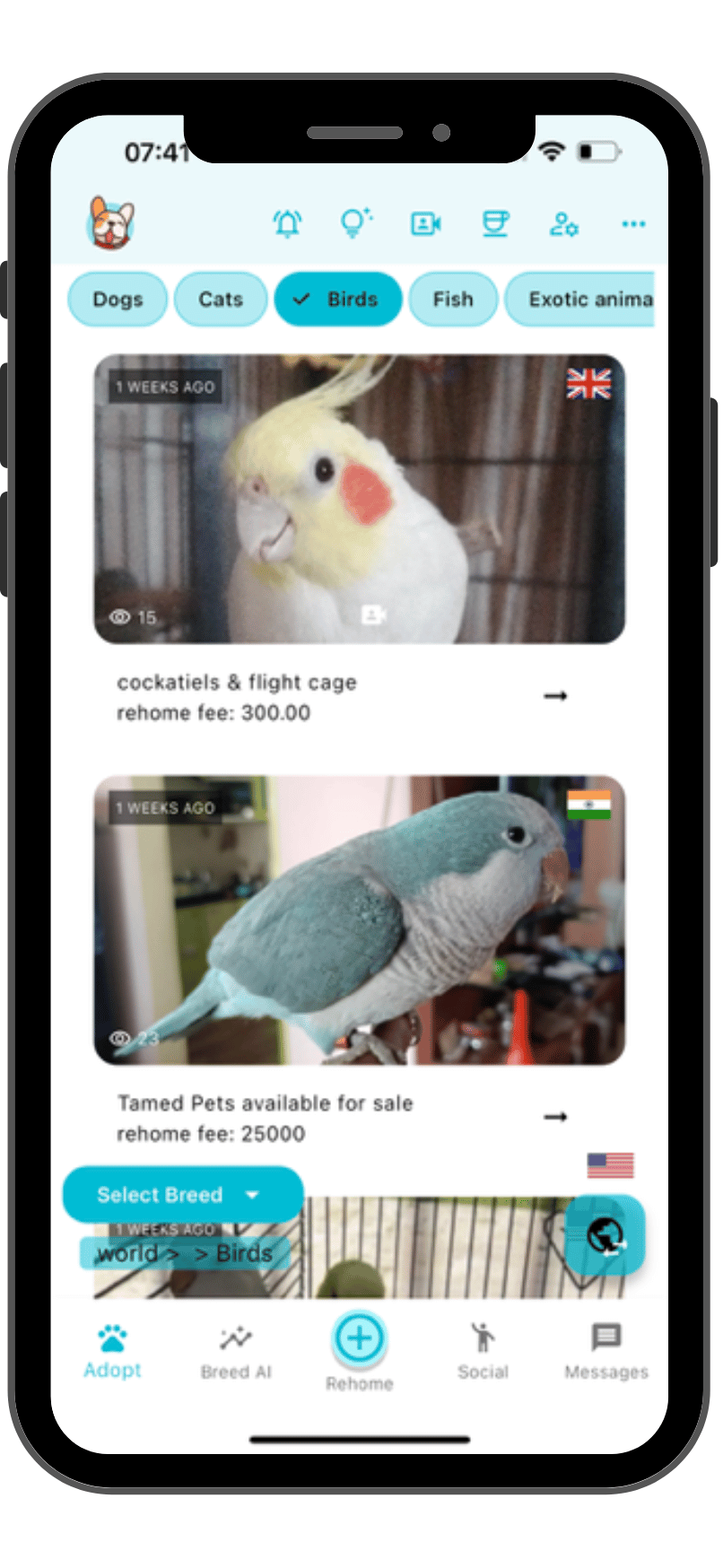 Best app to sell birds online screenshot