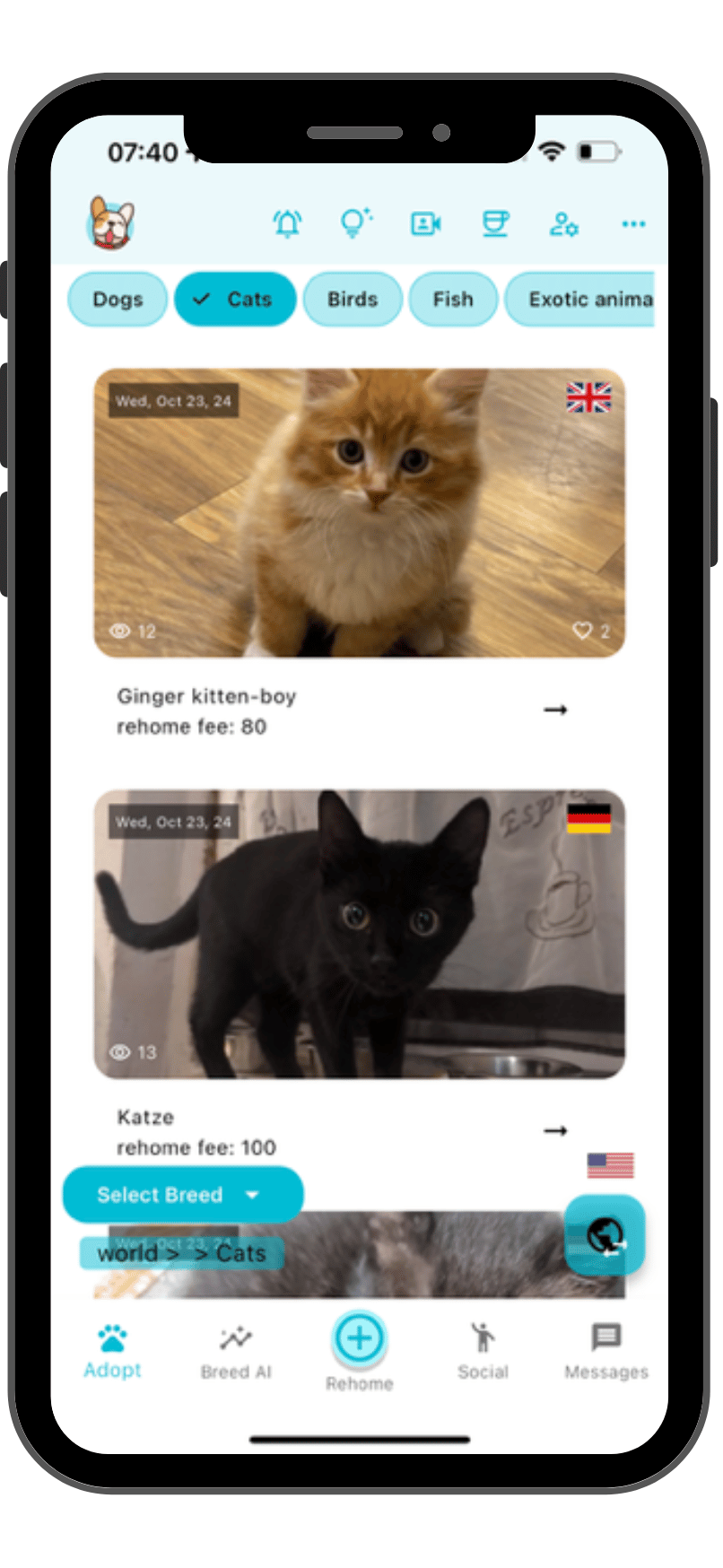 Best app to sell cats and kittens online