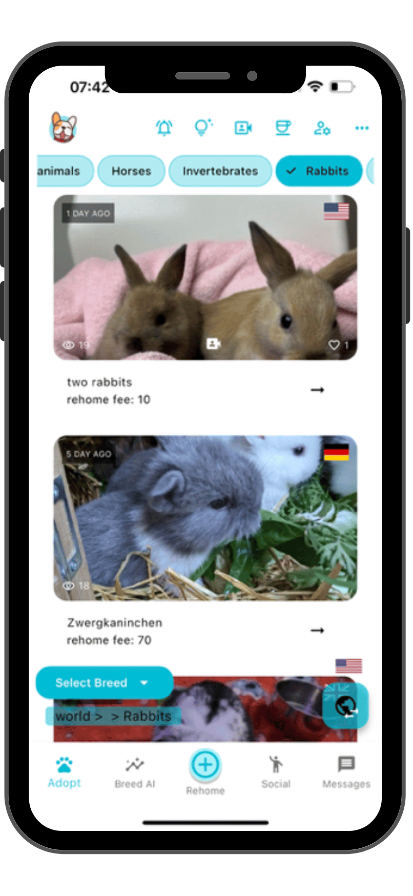 Best app to sell rabbits near me
